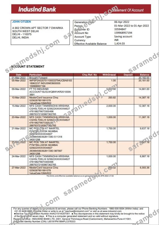 India IndusInd bank statement